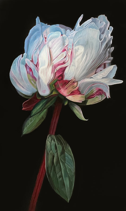 A painting of a peony by artist James Weins
