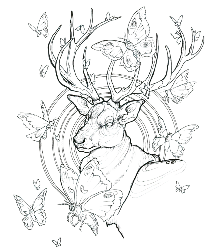 A colouring sheet image of a deer with moths flying around its antlers