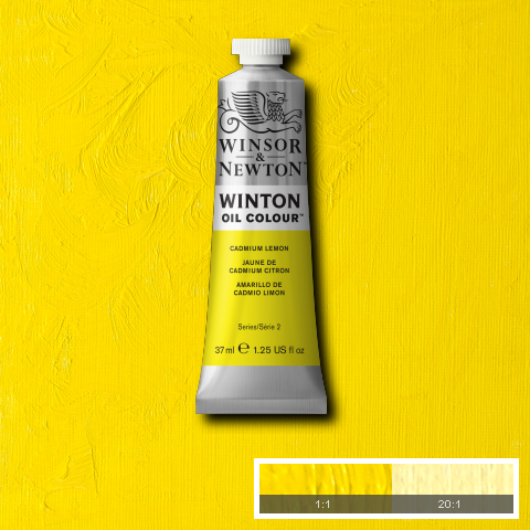 Winton Oil Colours - White or Yellow