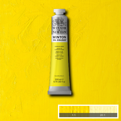 Winton Oil Colours - White or Yellow