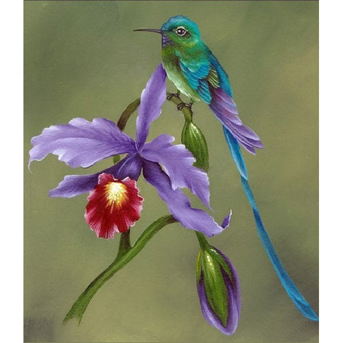 Hummingbird and Orchid with Willow Wolfe