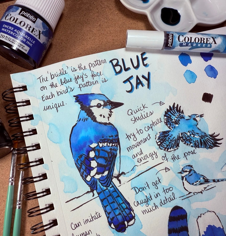 Nature Journaling with Max Black