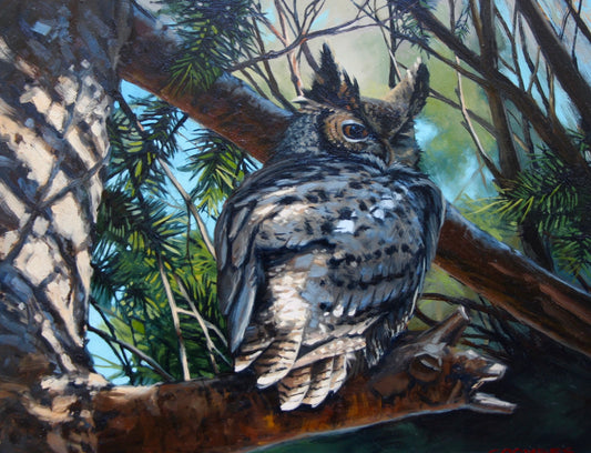 Oil Painting Birds & Wildlife with Bryan Coombes