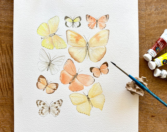 Explore Opus Watercolour Essentials with Paula Barrantes!