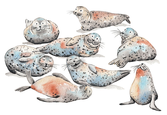 Winsor & Newton Professional Watercolour Materials with Heike Kuzminski