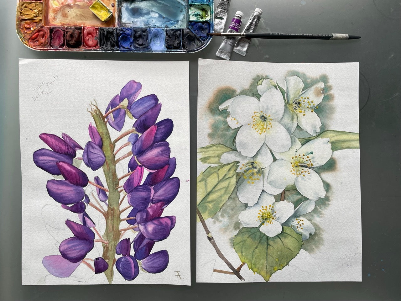 Winsor & Newton Professional Watercolour Materials with Tatiana Anisimova