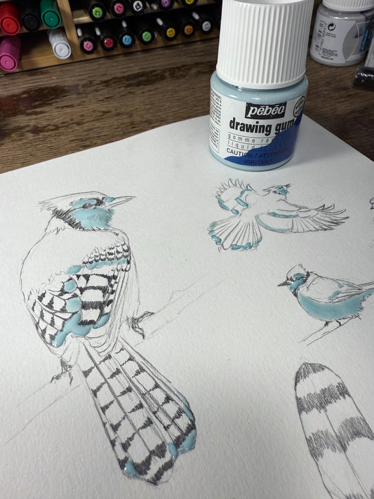Plein-Air Nature Journaling with PEBEO ColorEx Watercolour Inks