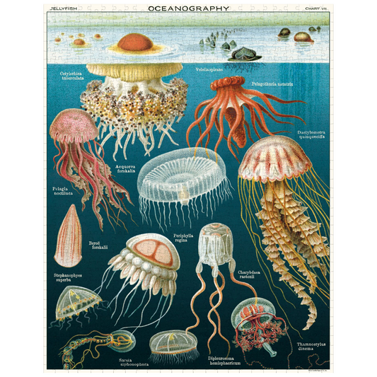 Cavallini 1,000 Piece Puzzle Jellyfish