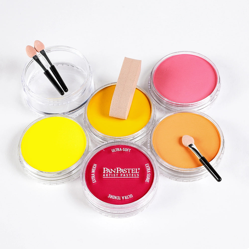 PanPastel Bright Warm Set of 5 - in use