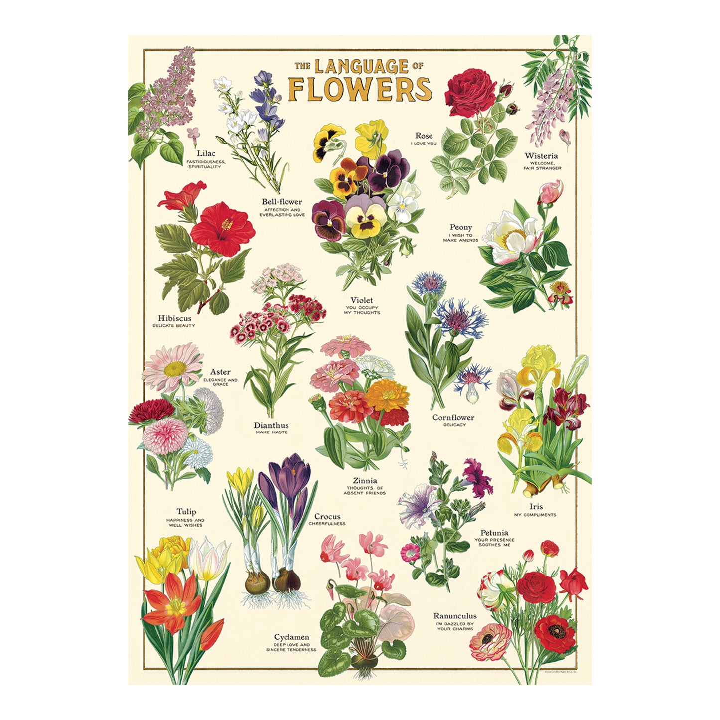 Cavallini Wrap Sheet 20" x 28" - Language of Flowers