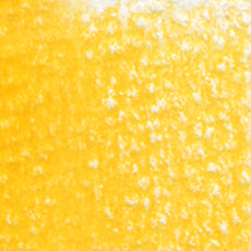 Holbein Artists' Colored Pencils - White or Yellow