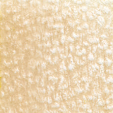 Holbein Artists' Colored Pencils - Brown or Green