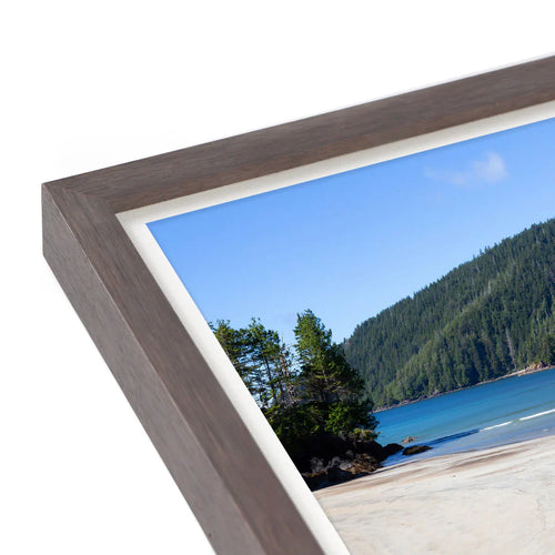 Opus West Coast Wood Frame Shells - Charcoal