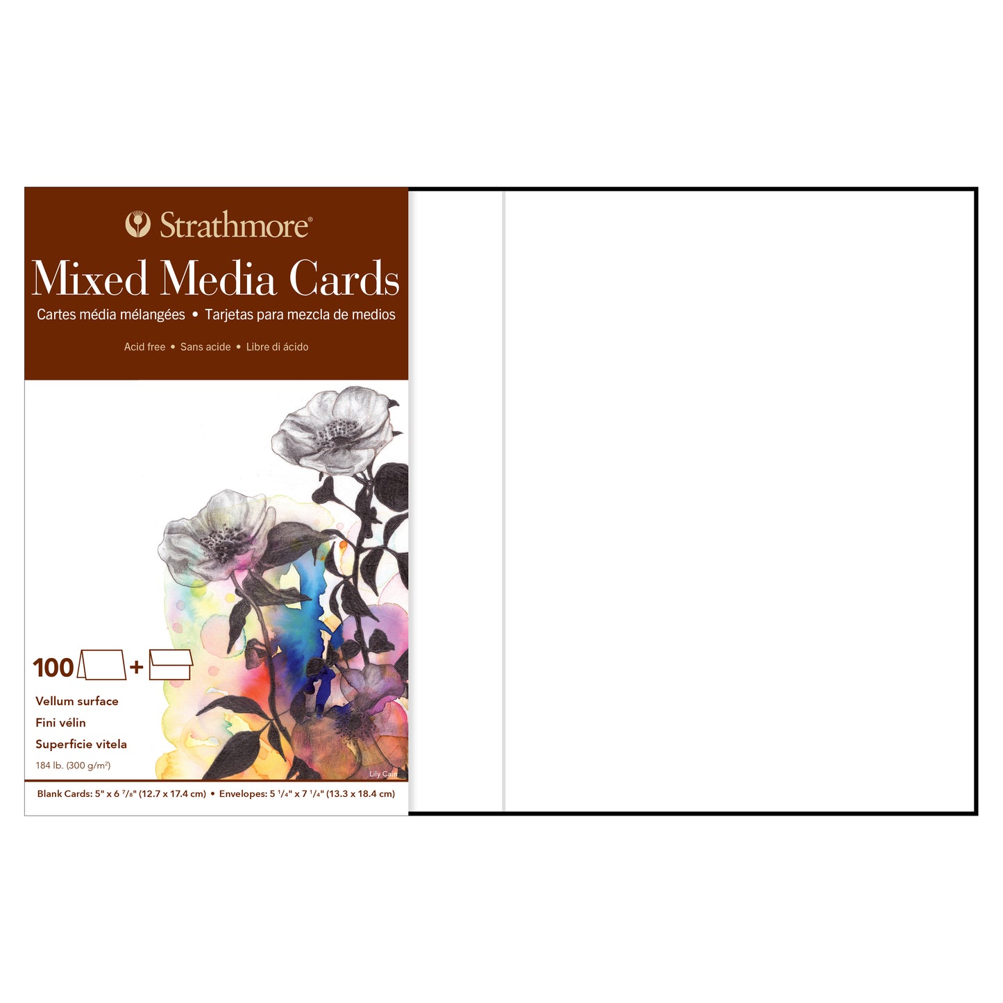 Strathmore Mixed Media Cards & Envelopes