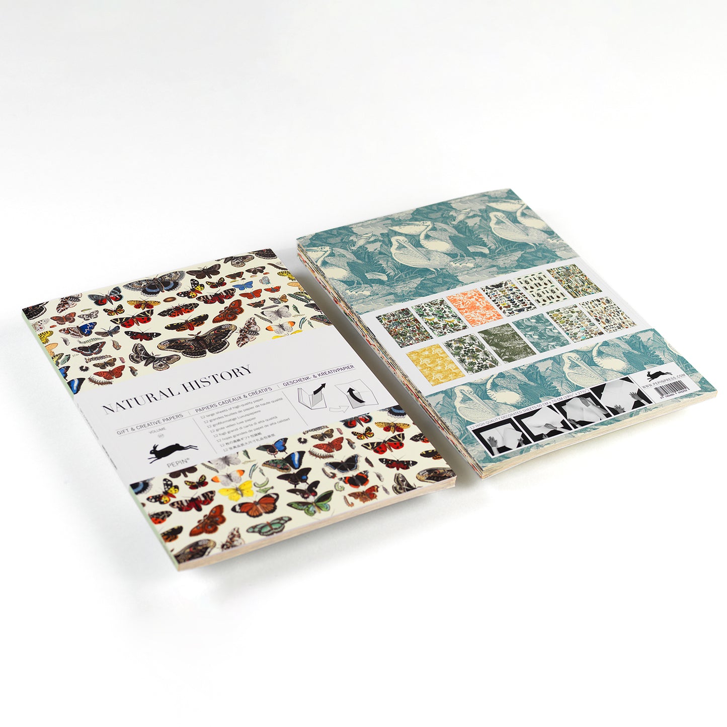Pepin Press Gift & Creative Paper - Natural History