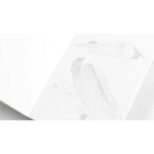 Pepin Press Watercolour Postcard Book - Natural History