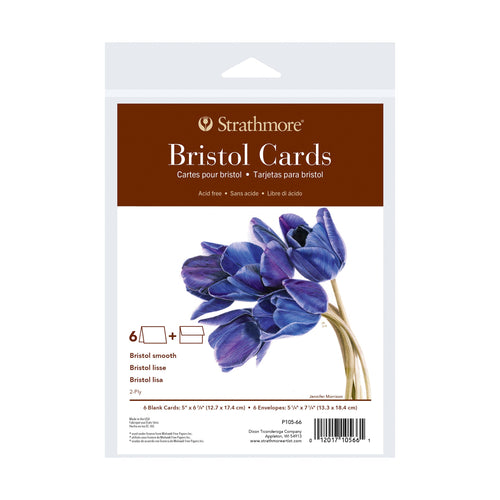 Strathmore 400 Series Bristol Cards Pack of 6 - 5" x 6 7/8"