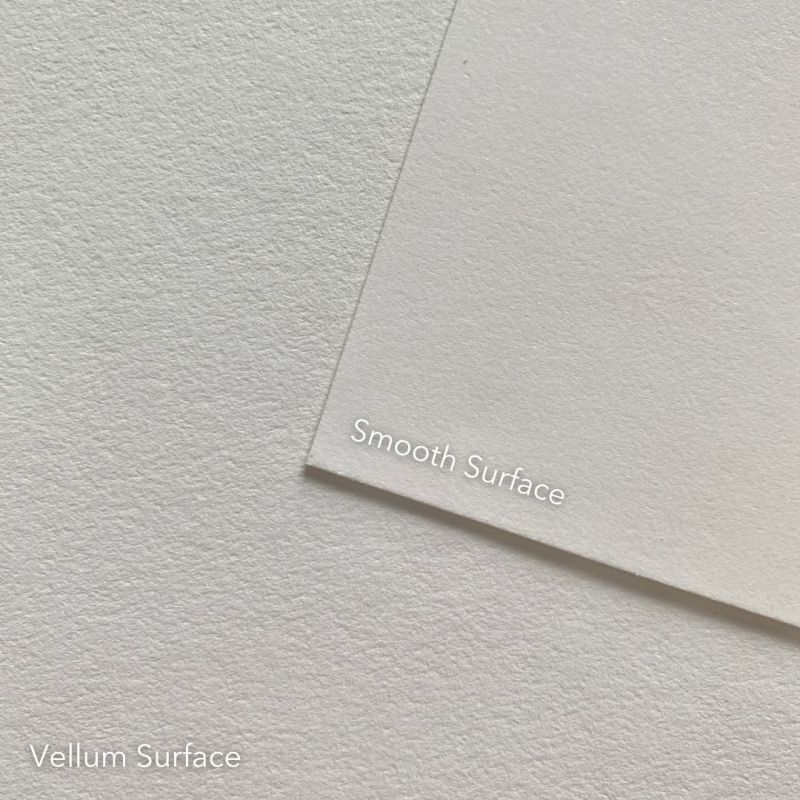 Strathmore 300 Series Bristol Sheets - 22" x 28"