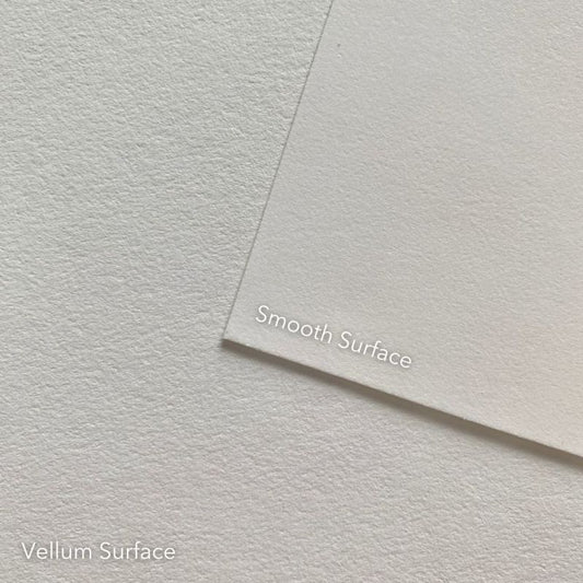 Strathmore 300 Series Bristol Sheets - 22" x 28"