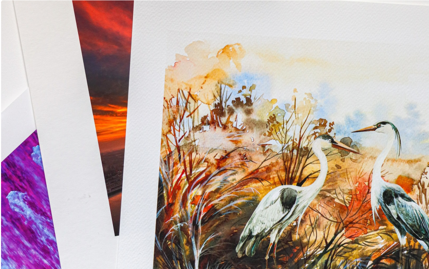 Upclose to a paper print of a painting of two grey herons in a warm coloured landscape.