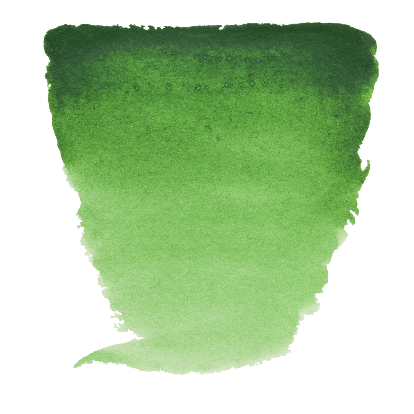 Van Gogh Watercolor Paint - Brown or Green