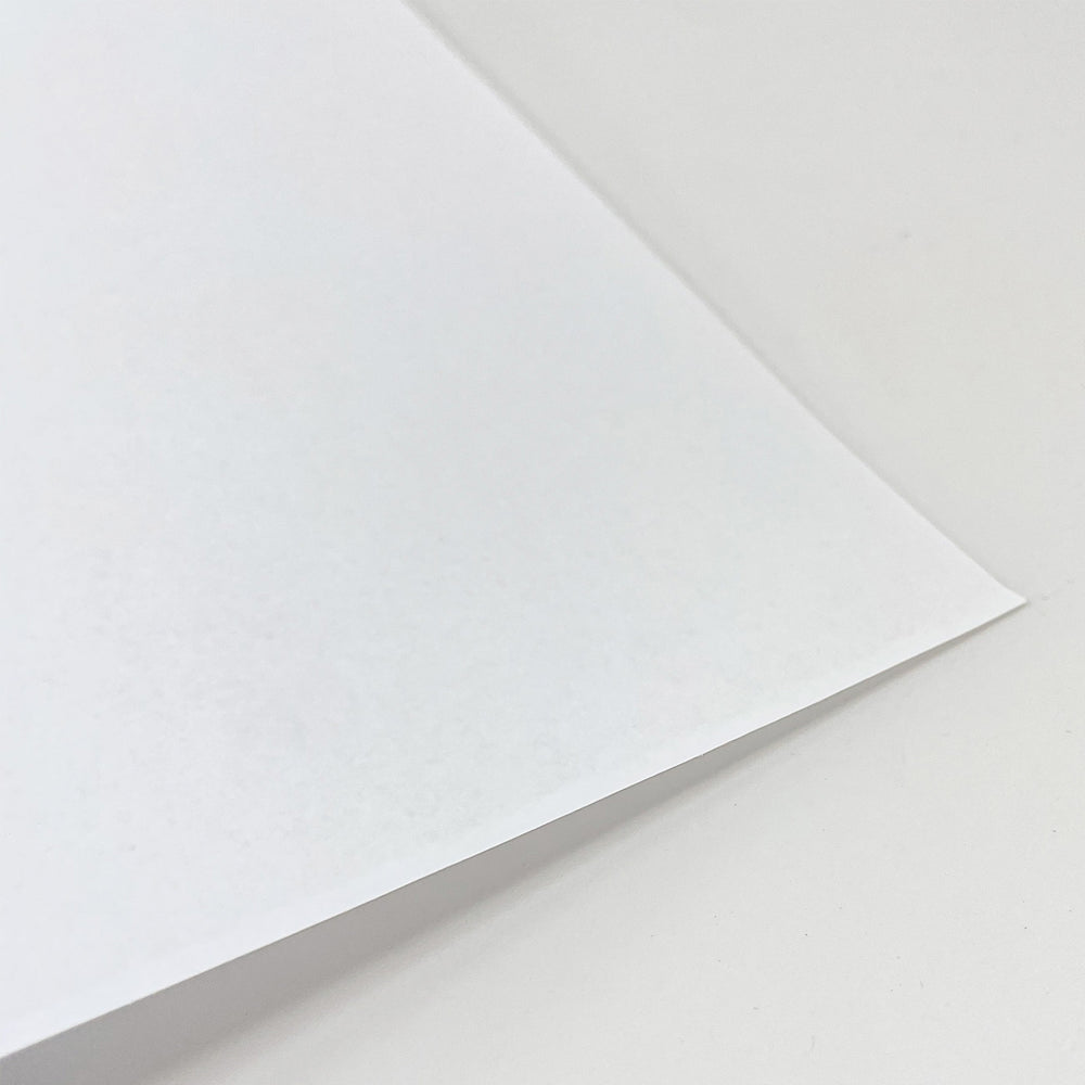 FC Art Animation Paper 10" x 12.5" - Pack of 250 sheets