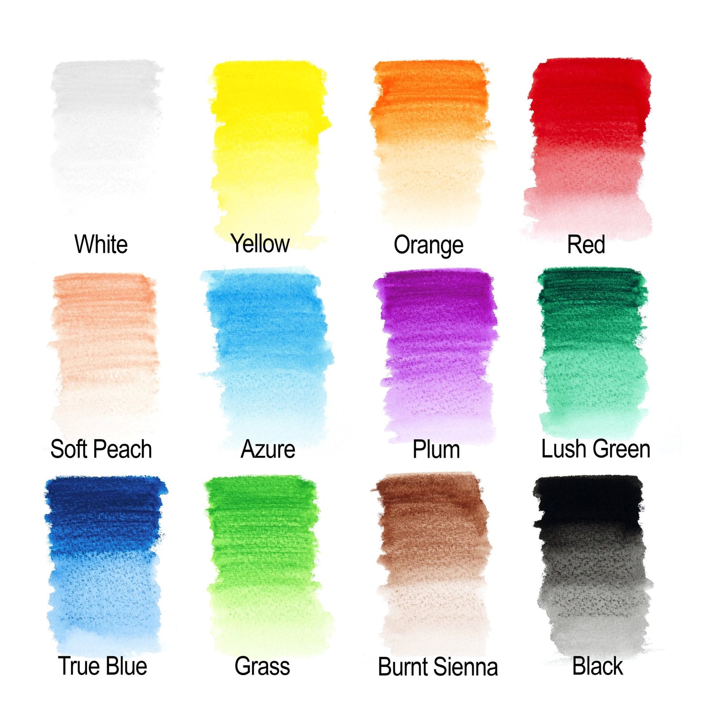 Winsor & Newton Studio Collection Watercolour Pencils Set of 12
