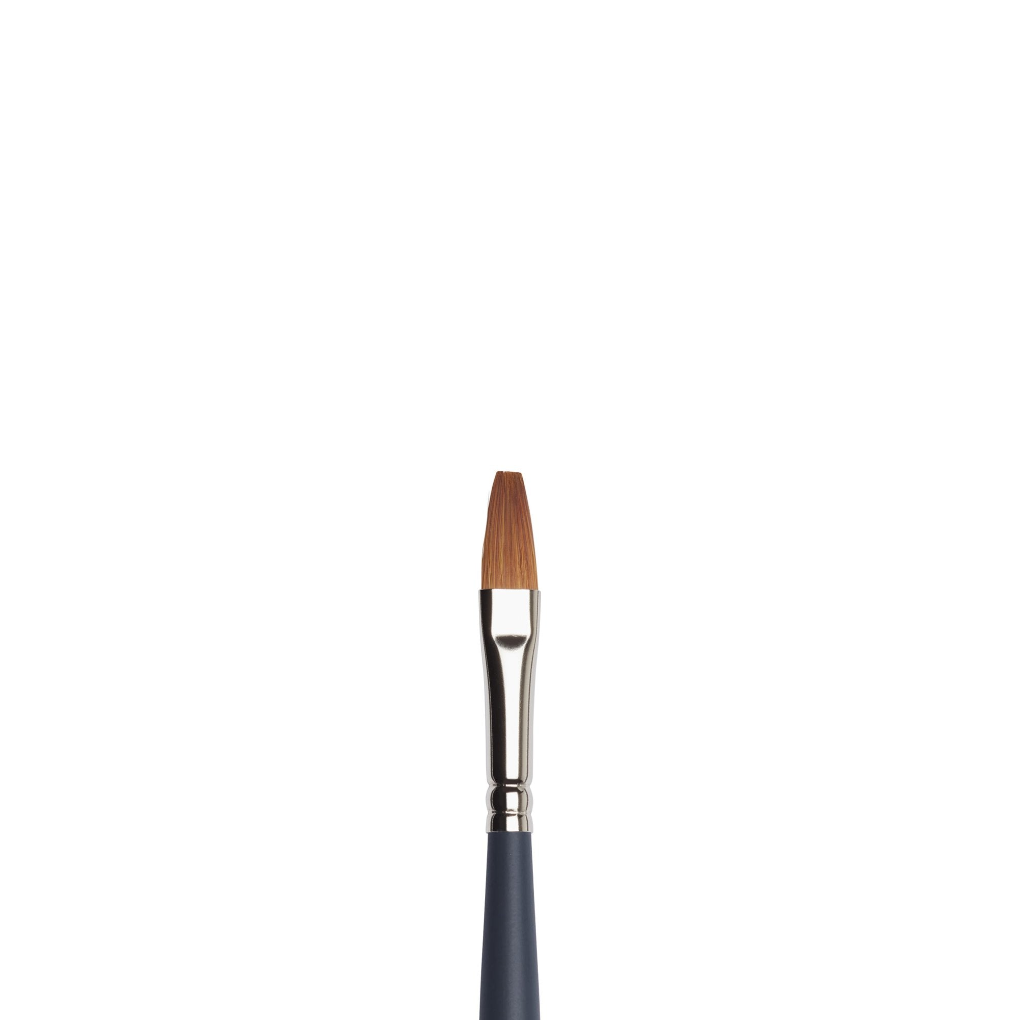 Winsor & Newton Cotman Brush: Filbert, 1/8 Inches