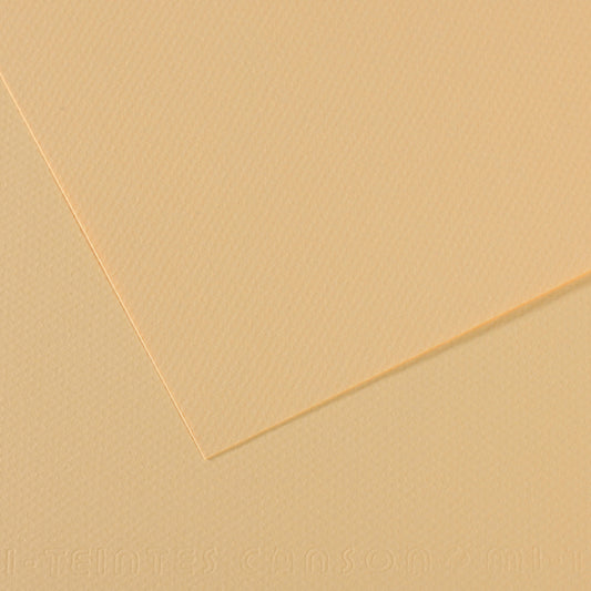 Canson Mi-Teintes Pastel Papers - 19" x 25"