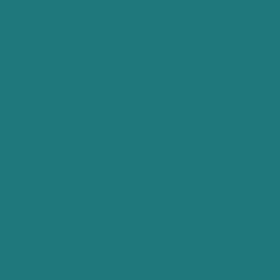 Jacquard Neopaque Fabric Paints