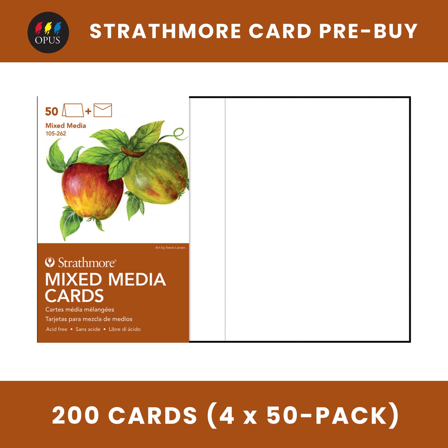 Cartes Strathmore Mixed Media 5" x 6 7/8" (Pré-achat)