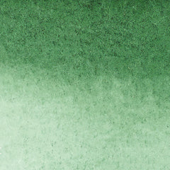Winsor & Newton Promarker Watercolour - Brown or Green