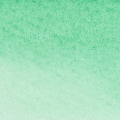 Winsor & Newton Promarker Watercolour - Brown or Green