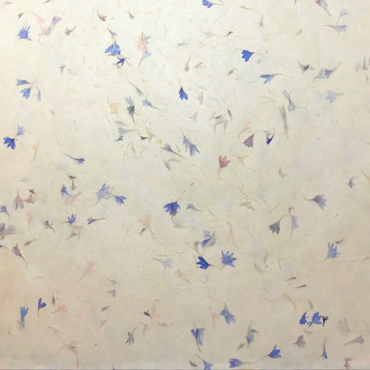 Tibetan Paper & Handicraft Flower & Seeds Papers