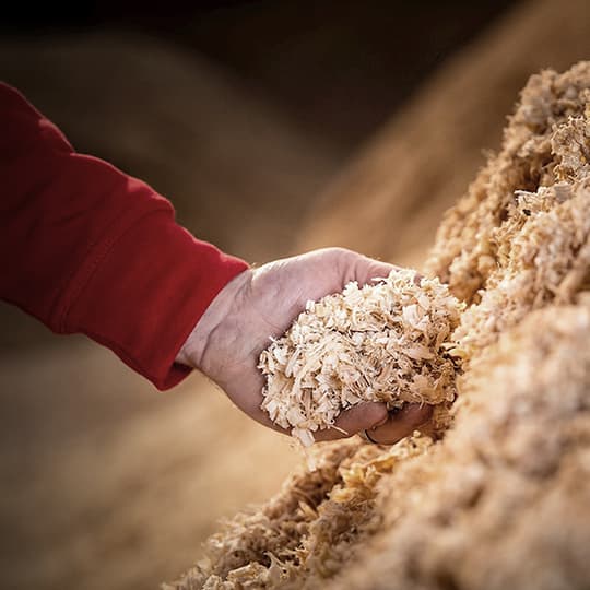 Caran d'Ache is Committed to Sustainability
