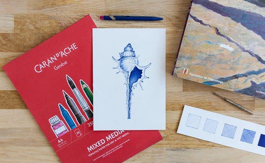 Caran D'ache DRAWING WITH A BALLPOINT PEN
