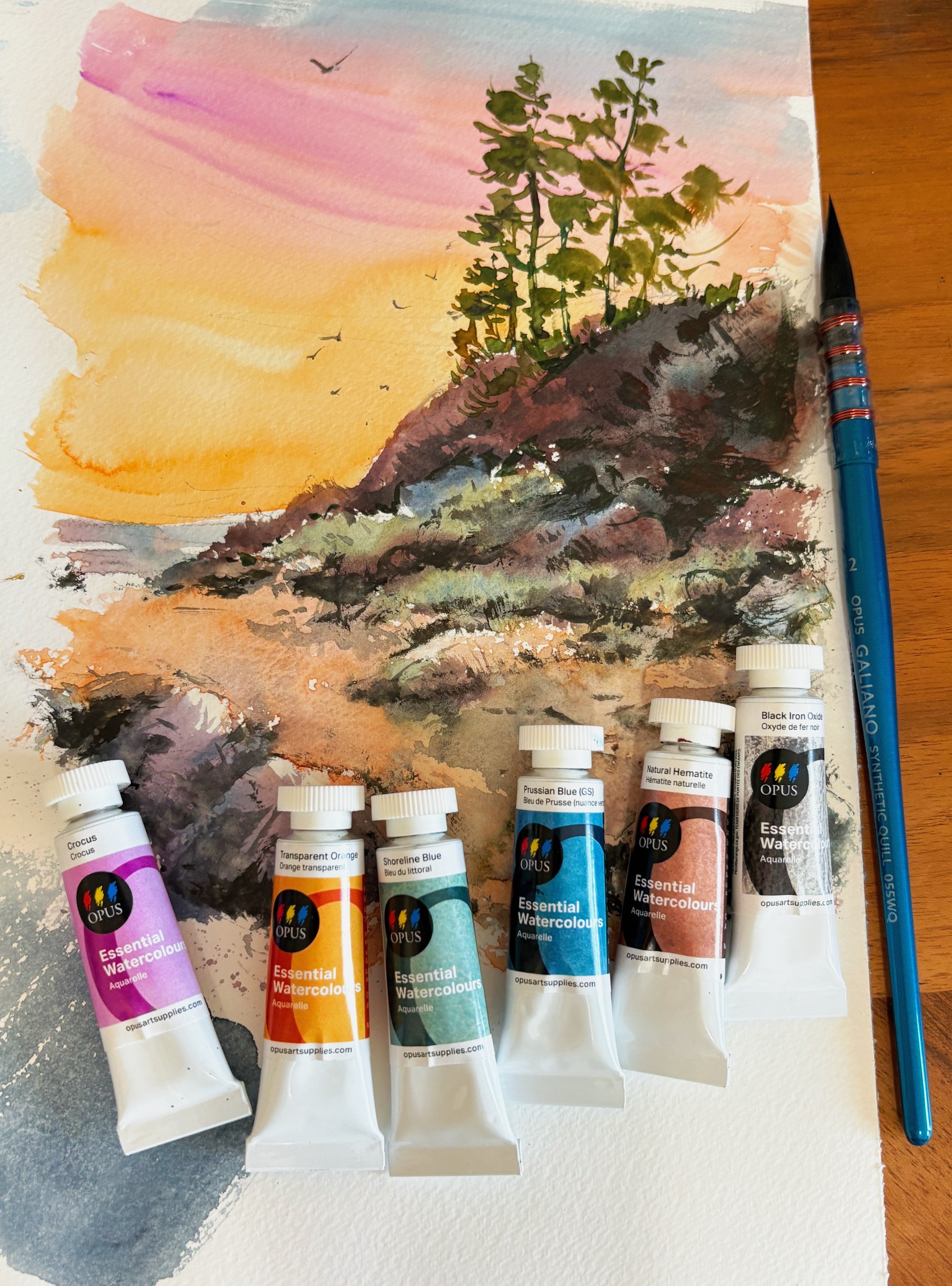 Six tubes of watercolour paint lie on a beautiful, coastal landscape; waves lapping the edge of a rocky beach at sunset, with birds dancing around a huddle of trees perched on a bluff in top right hand corner. 