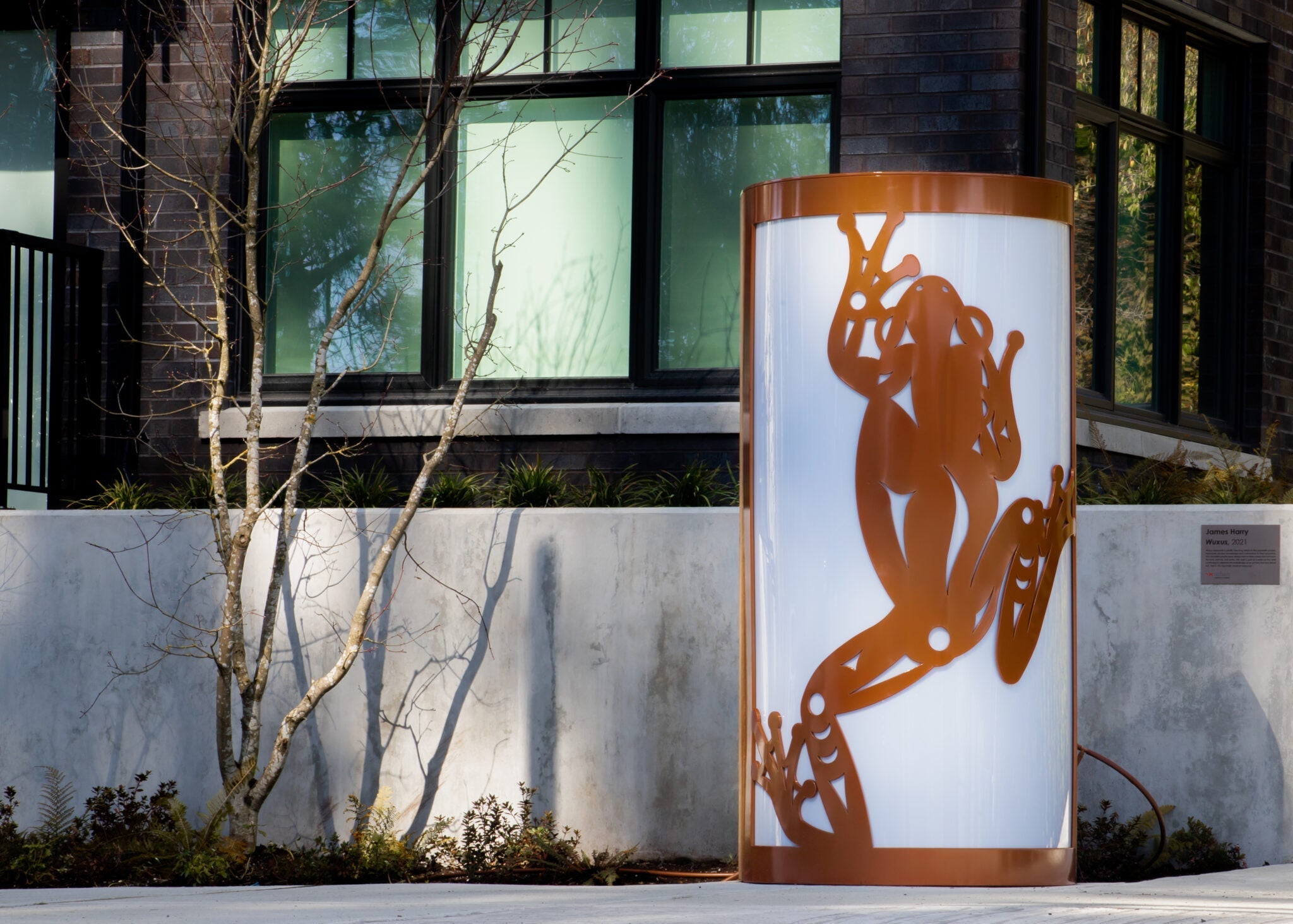 Explore Indigenous Art - James Harry