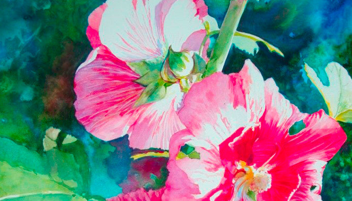 Painting of pink flowers by Karen Vernon