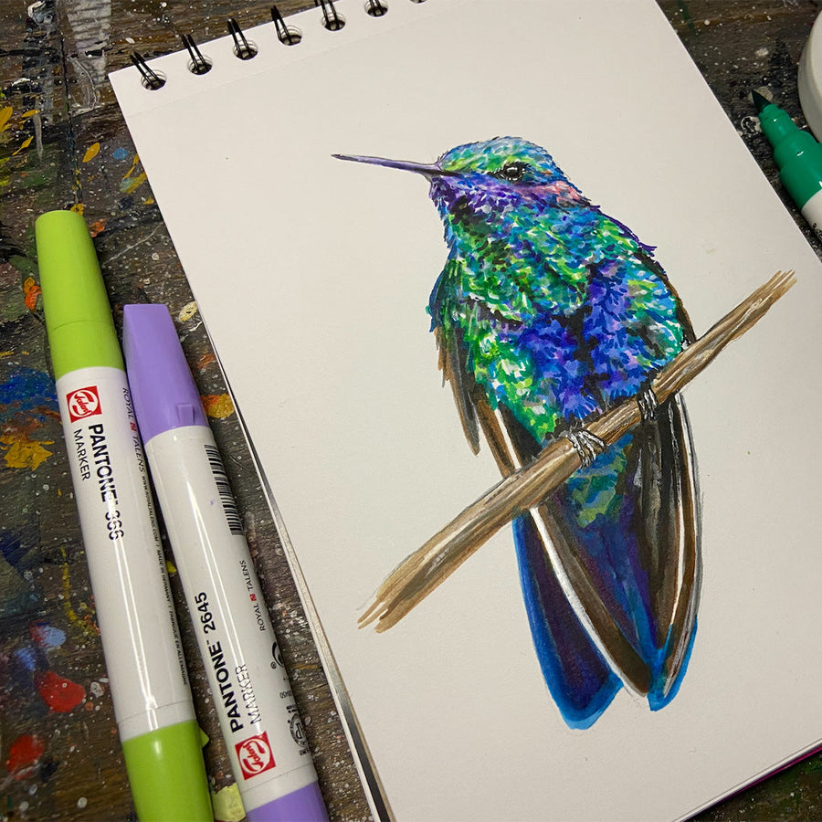 Artwork of a hummingbird, created by artist Vic Hollins using Talens | Pantone  Markers