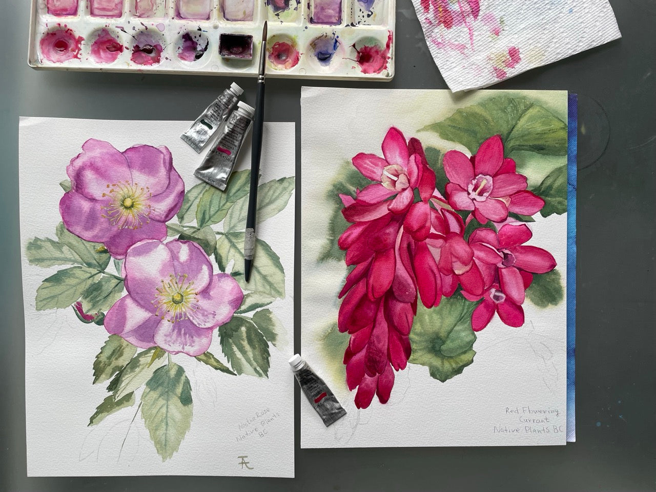 Winsor & Newton Pro Watercolours Demos with various artists