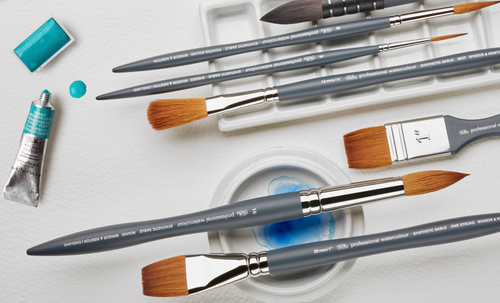 Paint Brushes & Brush Sets