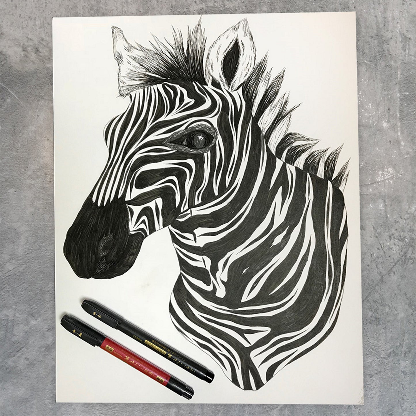 Zebra Zensations Brush Pens Set of 6