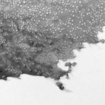 Liquitex Professional Acrylic Glass Beads Medium - 237ml