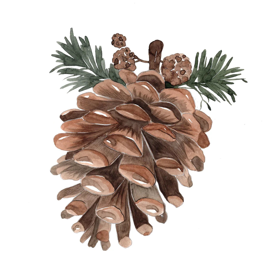 Willow Wolfe Watercolor Workbook - Winter Glow by Nya Wolfe