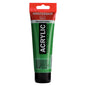Amsterdam Acrylic Paint - Brown or Green