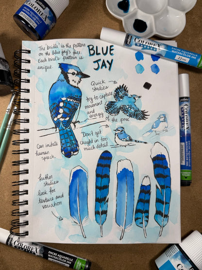 Nature Journaling with Max Black