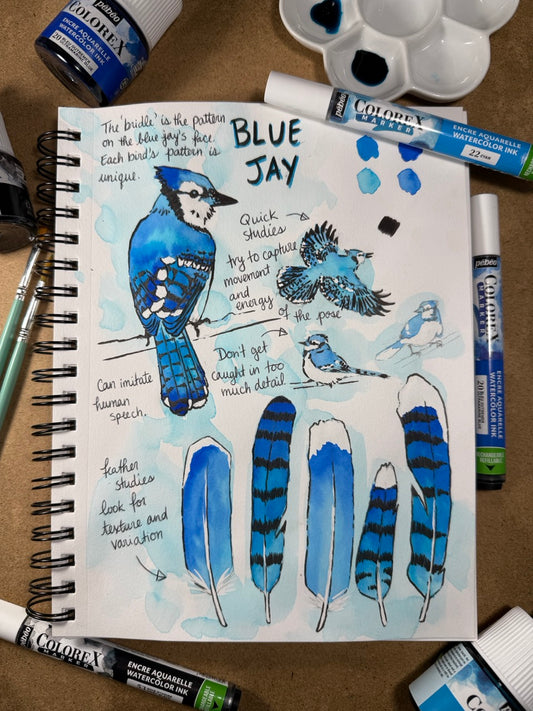 Nature Journaling with Max Black