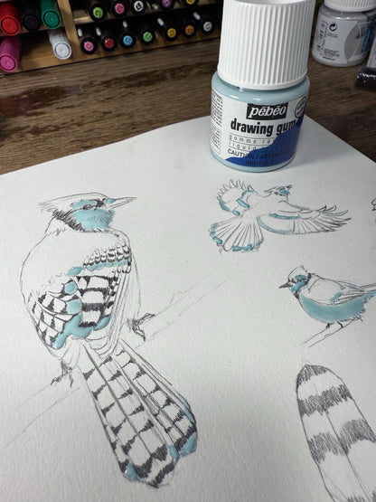 Nature Journaling with Max Black
