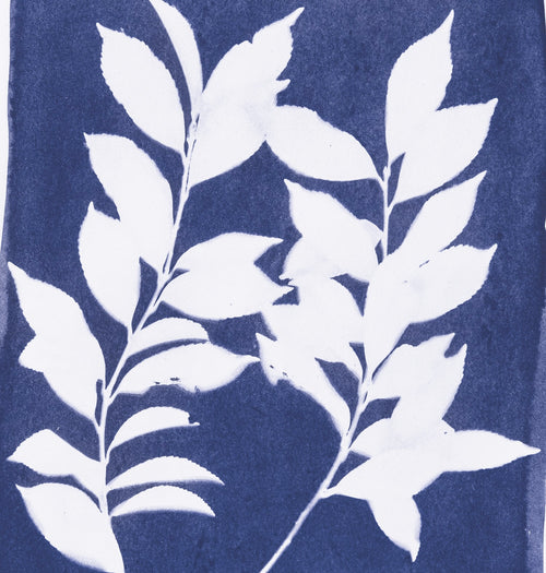 Jacquard Cyanotype and Indigo with Joe Domeier